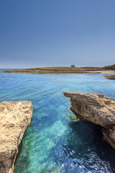 Carovigno, Brindisi province, Apulia, Italy. The Guaceto tower in the Nature reserve of Torre Guaceto is located on the Adriatic coast