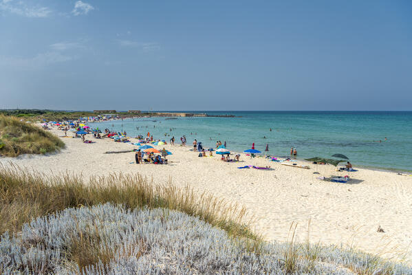 Carovigno, Brindisi province, Apulia, Italy. The beach in the Nature reserve of Torre Guaceto is located on the Adriatic coast