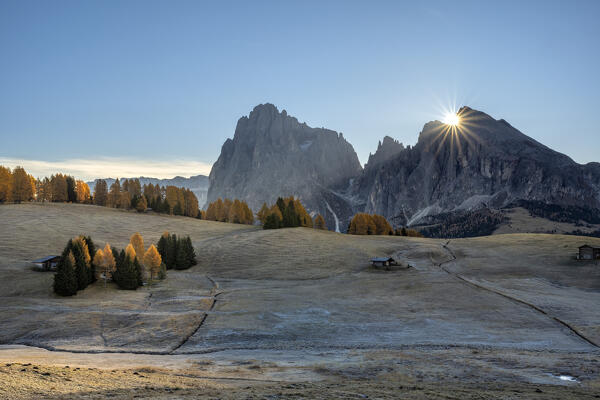 Alpe di Siusi/Seiser Alm, Dolomites, South Tyrol, Italy. Sunrise on the Alpe di Siusi/Seiser Alm with the Sassolungo and Sassopiatto