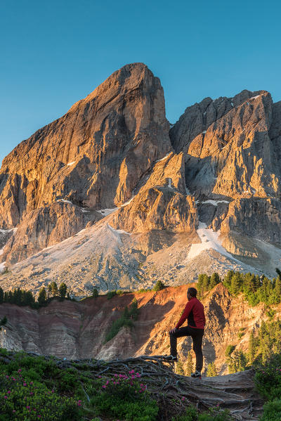 Passo delle Erbe, Dolomites, South Tyrol, Italy. A hiker admires the sun rising at Sass de Putia/Peitlerkofel