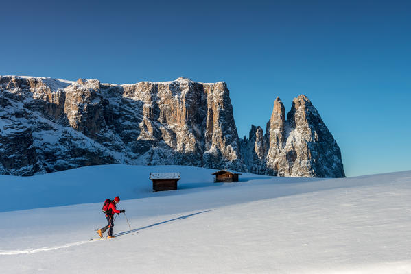 Alpe di Siusi/Seiser Alm, Dolomites, South Tyrol, Italy. Cross country skiing in the morning on the Alpe di Siusi/Seiser Alm. In the background the Schlern/Sciliar