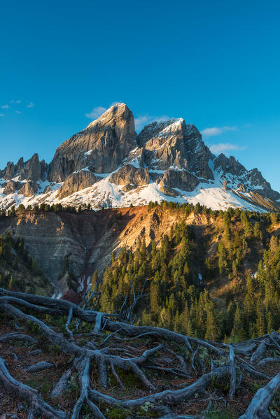 Passo delle Erbe/Wuerzjoch, Dolomites, South Tyrol, Italy. Sunrise at Sass de Putia/Peitlerkofel