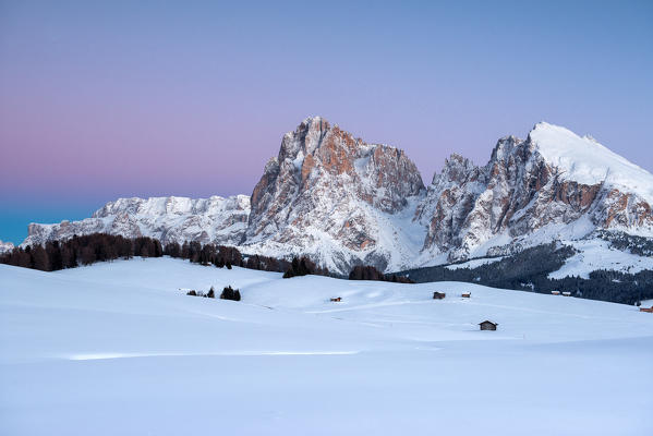 Alpe di Siusi/Seiser Alm, Dolomites, South Tyrol, Italy. Winter twilight on the Alpe di Siusi/Seiser Alm with the Peaks of Sassolungo/Langkofel and  Sassopiatto/Plattkofel