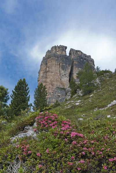 Cinque Torri, Dolomites, Veneto, Italy. The Great Tower of the Cinque Torri