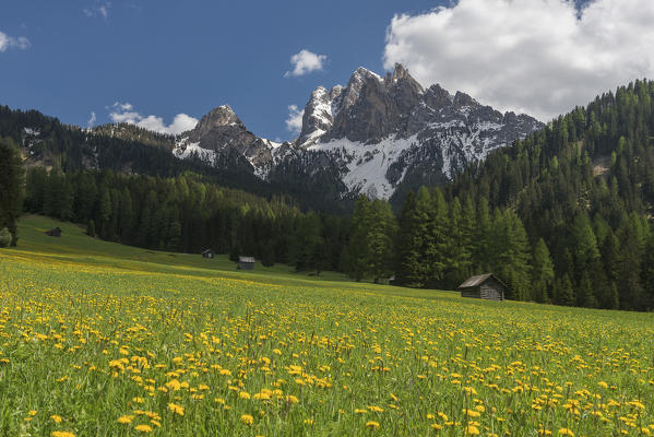 Braies / Prags, Dolomites, South Tyrol, Italy. The Picco di Vallandro / Dürrenstein