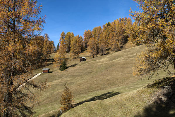 Pastures of Ciavaza, Dolomites, South Tyrol, Italy. Autumn at the pastures of Ciavaza