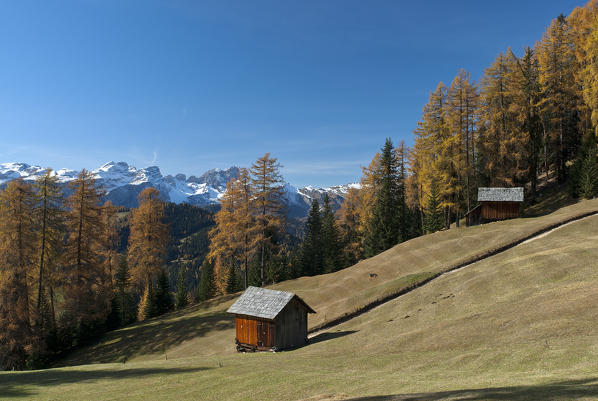 Alta Badia, Dolomites, South Tyrol, Italy. Autumn at the pastures of Ciavaza