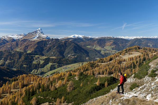 Alta Badia, Dolomites, South Tyrol, Italy. Autumn at Ciavaza. In the background the Sass de Putia