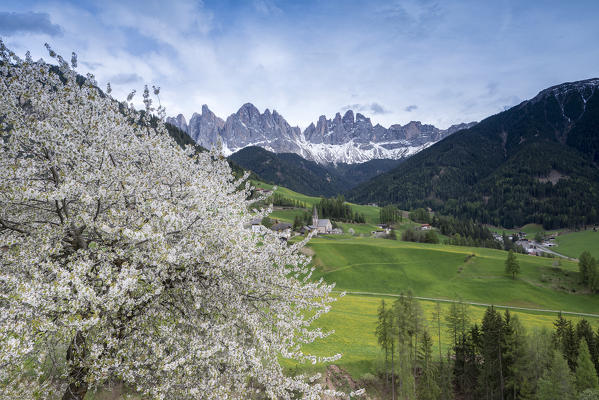 Funes Valley, Dolomites, South Tyrol, Italy. Spring in Santa Maddalena in Funes Valley and the peaks of Odle in the background