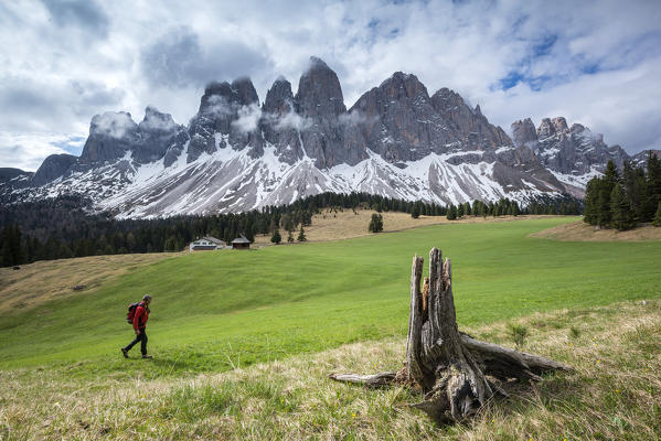 Funes Valley, Dolomites, South Tyrol, Italy. View from Malga Glatsch to the peaks of the Odle