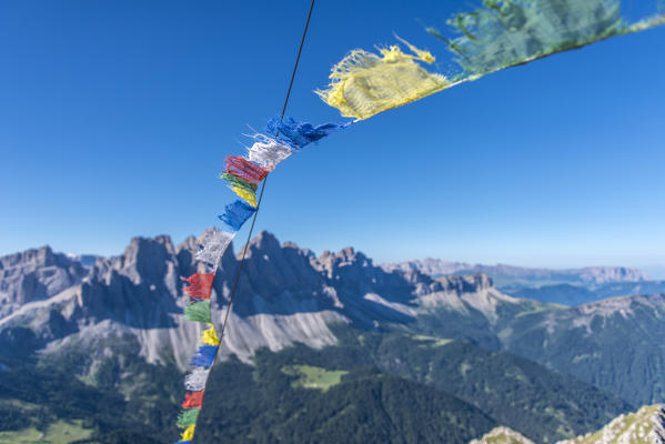 Funes Valley, Dolomites, South Tyrol, Italy. On the top of Monte Tulla with the peaks of Odle in the background