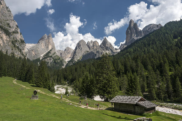 Tires/Tiers, Dolomites, South Tyrol, Italy. In the Ciamin Valley