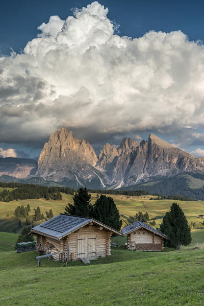 Alpe di Siusi/Seiser Alm, Dolomites, South Tyrol, Italy. Sunset on the Alpe di Siusi/Seiser Alm with the peaks of Sassolungo/Langkofel and Sassopiatto/Plattkofel