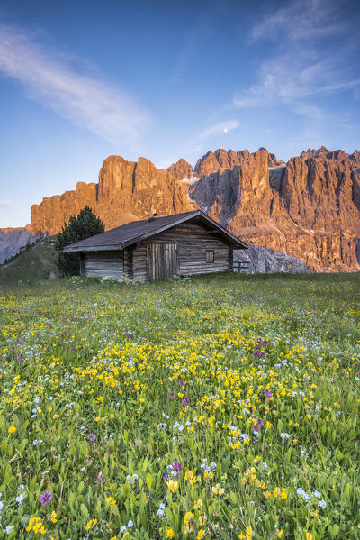 Passo Gardena, Dolomites South Tyrol, Italy. Alpenglow in the wall of the Sella