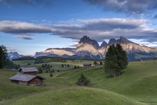 Alpe di Siusi/Seiser Alm, Dolomites, South Tyrol, Italy. The last rays of sun at the Alpe di Siusi/Seiser Alm. In the background the peaks of Sella, Sassolungo/Langkofel and Sassopiatto/Plattkofel