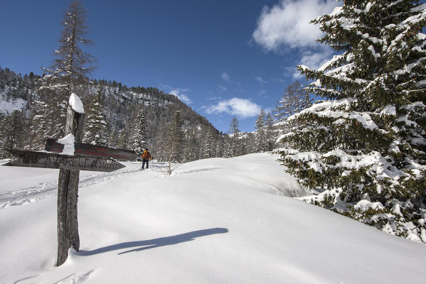 Fanes, Dolomites, South Tyrol, Italy. Ski mountaineer  in the ascent to the refuge Lavarella