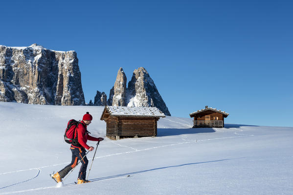 Alpe di Siusi/Seiser Alm, Dolomites, South Tyrol, Italy. Ski mountaineer on the Alpe di Siusi/Seiser Alm. In the background the peaks of Sciliar, Santner and Euringer