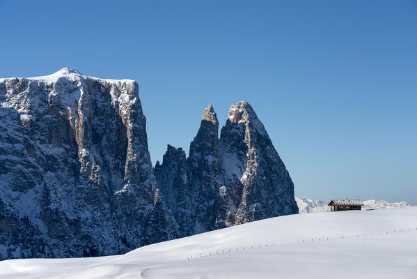 Alpe di Siusi/Seiser Alm, Dolomites, South Tyrol, Italy. Winter landscape on the Alpe di Siusi/Seiser Alm with the peaks of the Sciliar