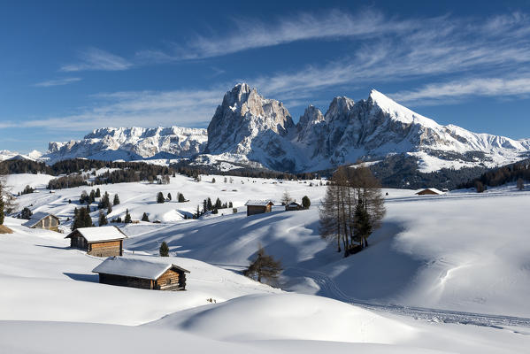 Alpe di Siusi/Seiser Alm, Dolomites, South Tyrol, Italy. Winter landscape on the Alpe di Siusi/Seiser Alm in the Dolomites. In the background the peaks of Sella, Sassolungo/Langkofel and Sassopiatto/Plattkofel