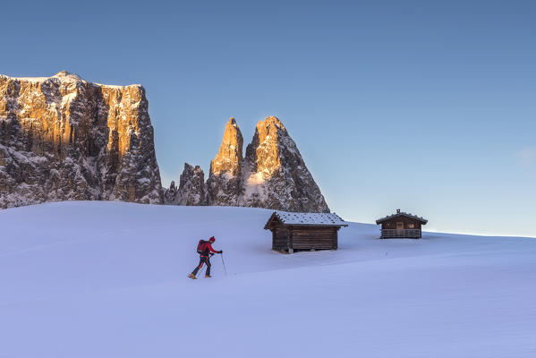 Alpe di Siusi/Seiser Alm, Dolomites, South Tyrol, Italy. Ski mountaineer on the Alpe di Siusi/Seiser Alm. 