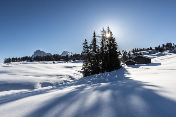 Alpe di Siusi/Seiser Alm, Dolomites, South Tyrol, Italy. Winter landscape on the Alpe di Siusi/Seiser Alm
