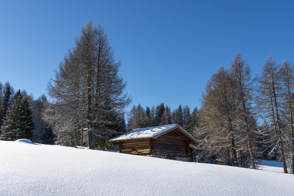 Alpe di Siusi/Seiser Alm, Dolomites, South Tyrol, Italy. Winter landscape on the Alpe di Siusi/Seiser Alm
