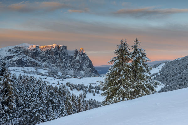 Alpe di Siusi/Seiser Alm, Dolomites, South Tyrol, Italy. Winter landscape on the Alpe di Siusi/Seiser Alm with the peaks of the Sciliar