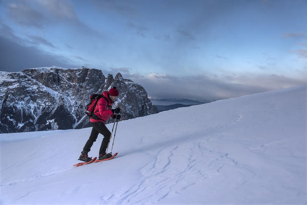 Alpe di Siusi/Seiser Alm, Dolomites, South Tyrol, Italy. Snowshoe hiker on plateau Bullaccia/Puflatsch. In the background the peaks of Sciliar/Schlern