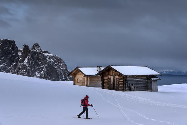 Alpe di Siusi/Seiser Alm, Dolomites, South Tyrol, Italy. Snowshoe hiker on plateau Bullaccia/Puflatsch. In the background the peaks of Sciliar/Schlern