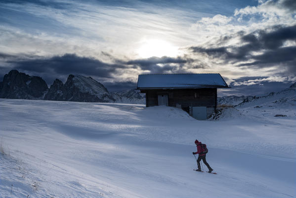 Alpe di Siusi/Seiser Alm, Dolomites, South Tyrol, Italy. Snowshoe hiker on plateau Bullaccia/Puflatsch. In the background the peaks of Sassolungo/Langkofel and Sassopiatto/Plattkofel