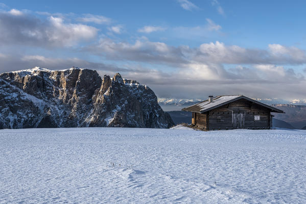 Alpe di Siusi/Seiser Alm, Dolomites, South Tyrol, Italy. On plateau Bullaccia/Puflatsch. In the background the peaks of Sciliar/Schlern