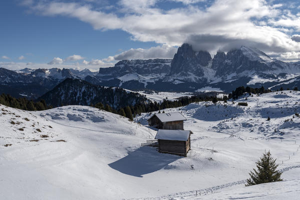 Alpe di Siusi/Seiser Alm, Dolomites, South Tyrol, Italy.