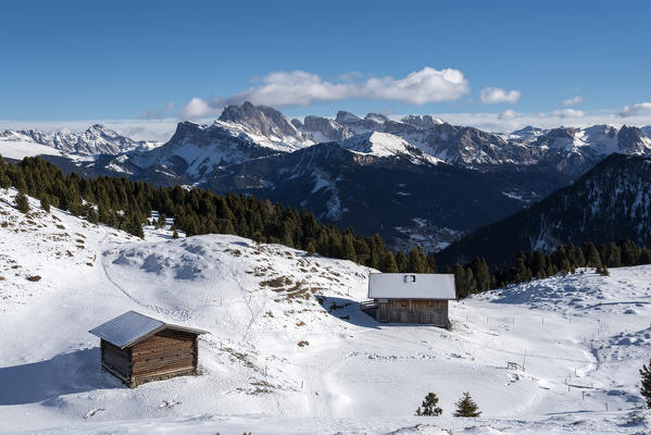 Alpe di Siusi/Seiser Alm, Dolomites, South Tyrol, Italy.