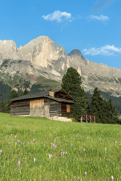 Carezza, Dolomites, South Tyrol, Italy. Mountain Hut in the pastures of Colbleggio. In the background the Roda di Vael