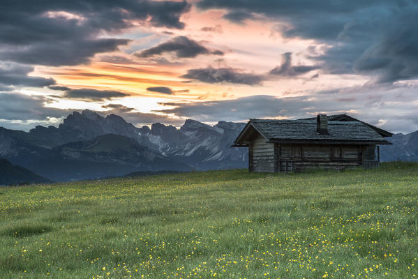 Alpe di Siusi/Seiser Alm, Dolomites, South Tyrol, Italy. Sunrise on the Alpe di Siusi/Seiser Alm. In the background the Odle