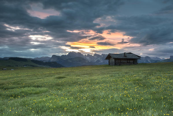 Alpe di Siusi/Seiser Alm, Dolomites, South Tyrol, Italy. Sunrise on the Alpe di Siusi/Seiser Alm. In the background the Odle