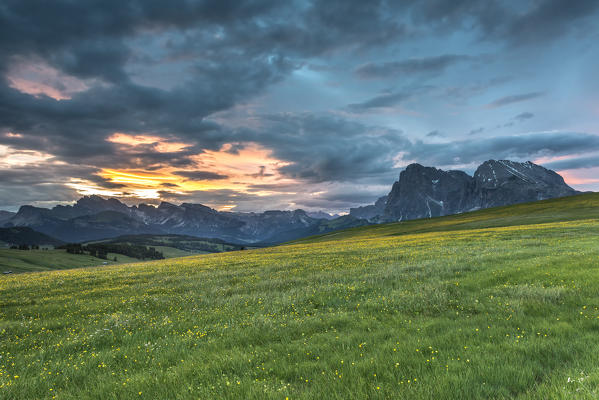 Alpe di Siusi/Seiser Alm, Dolomites, South Tyrol, Italy.