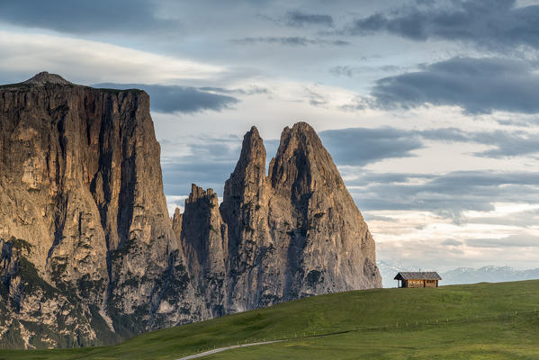 Alpe di Siusi/Seiser Alm, Dolomites, South Tyrol, Italy. Sunrise on the Alpe di Siusi/Seiser Alm. In the background the peaks of Sciliar/Schlern