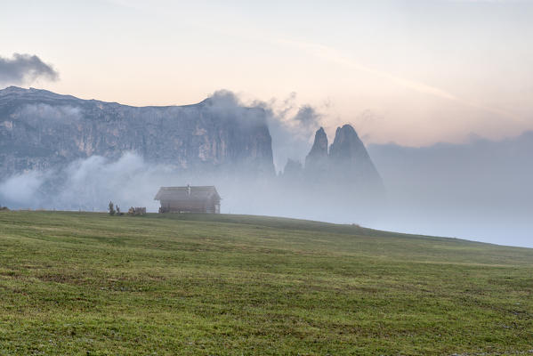 Alpe di Siusi/Seiser Alm, Dolomites, South Tyrol, Italy. Autumn sunrise on the Alpe di Siusi/Seiser Alm. In the background the peaks of Sciliar/Schlern