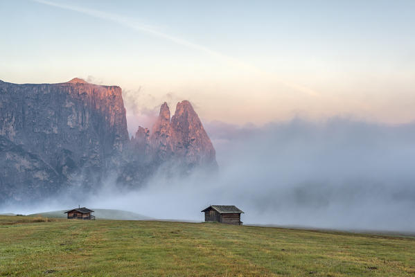 Alpe di Siusi/Seiser Alm, Dolomites, South Tyrol, Italy. Autumn sunrise on the Alpe di Siusi/Seiser Alm. In the background the peaks of Sciliar/Schlern