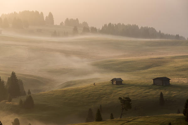 Alpe di Siusi/Seiser Alm, Dolomites, South Tyrol, Italy. Autumnal morning light on the Alpe di Siusi/Seiser Alm