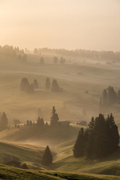 Alpe di Siusi/Seiser Alm, Dolomites, South Tyrol, Italy. Autumnal morning light on the Alpe di Siusi/Seiser Alm