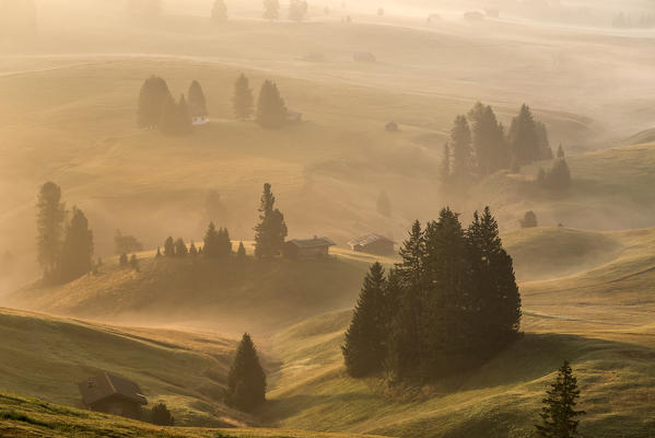 Alpe di Siusi/Seiser Alm, Dolomites, South Tyrol, Italy. Autumnal morning light on the Alpe di Siusi/Seiser Alm