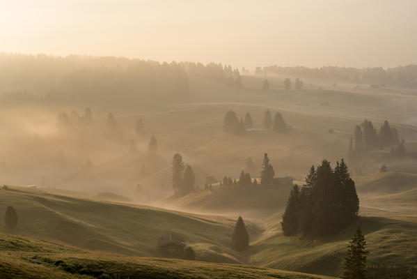 Alpe di Siusi/Seiser Alm, Dolomites, South Tyrol, Italy. Autumnal morning light on the Alpe di Siusi/Seiser Alm