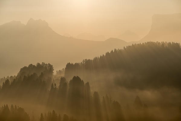 Alpe di Siusi/Seiser Alm, Dolomites, South Tyrol, Italy. Autumnal morning light on the Alpe di Siusi/Seiser Alm