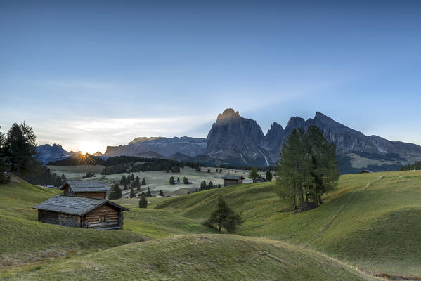 Alpe di Siusi/Seiser Alm, Dolomites, South Tyrol, Italy. Sunrise on the pastures of Alpe di Siusi/Seiser Alm. In the Background the peaks Sella, Sassolungo/Langkofel and Sassopiatto/Plattkofel