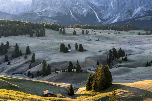 Alpe di Siusi/Seiser Alm, Dolomites, South Tyrol, Italy. Autumnal morning light on the Alpe di Siusi/Seiser Alm