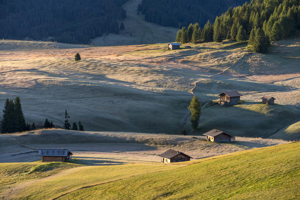 Alpe di Siusi/Seiser Alm, Dolomites, South Tyrol, Italy. Autumnal morning light on the Alpe di Siusi/Seiser Alm