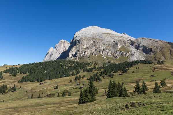 Alpe di Siusi/Seiser Alm, Dolomites, South Tyrol, Italy. View from the Alpe di Siusi to the peaks of Sassolungo/Langkofel and Sassopiatto/Plattkofel 