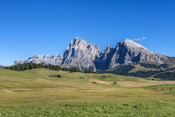 Alpe di Siusi/Seiser Alm, Dolomites, South Tyrol, Italy. View from the Alpe di Siusi to the peaks of Sassolungo/Langkofel and Sassopiatto/Plattkofel